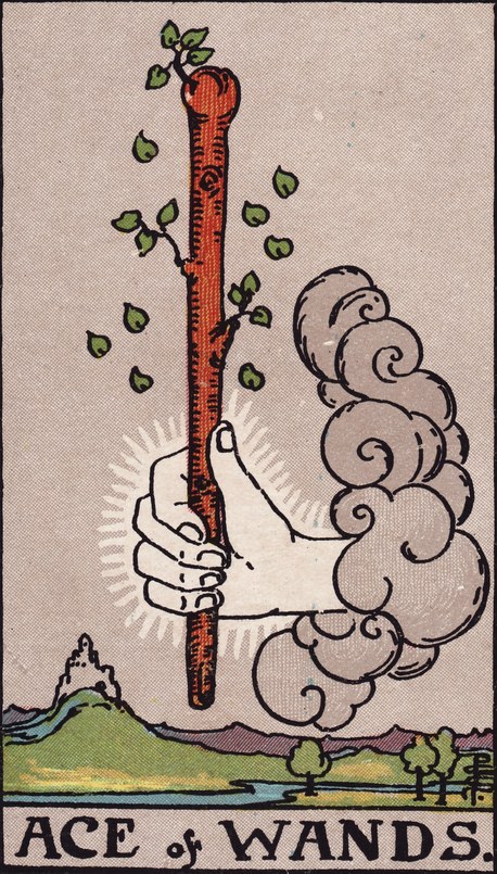 Lá Ace of Wands (Ách Gậy) trong bộ Rider–Waite–Smith 1909